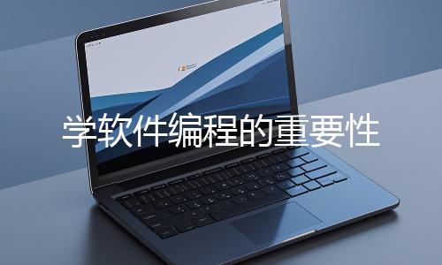 学软件编程的重要性